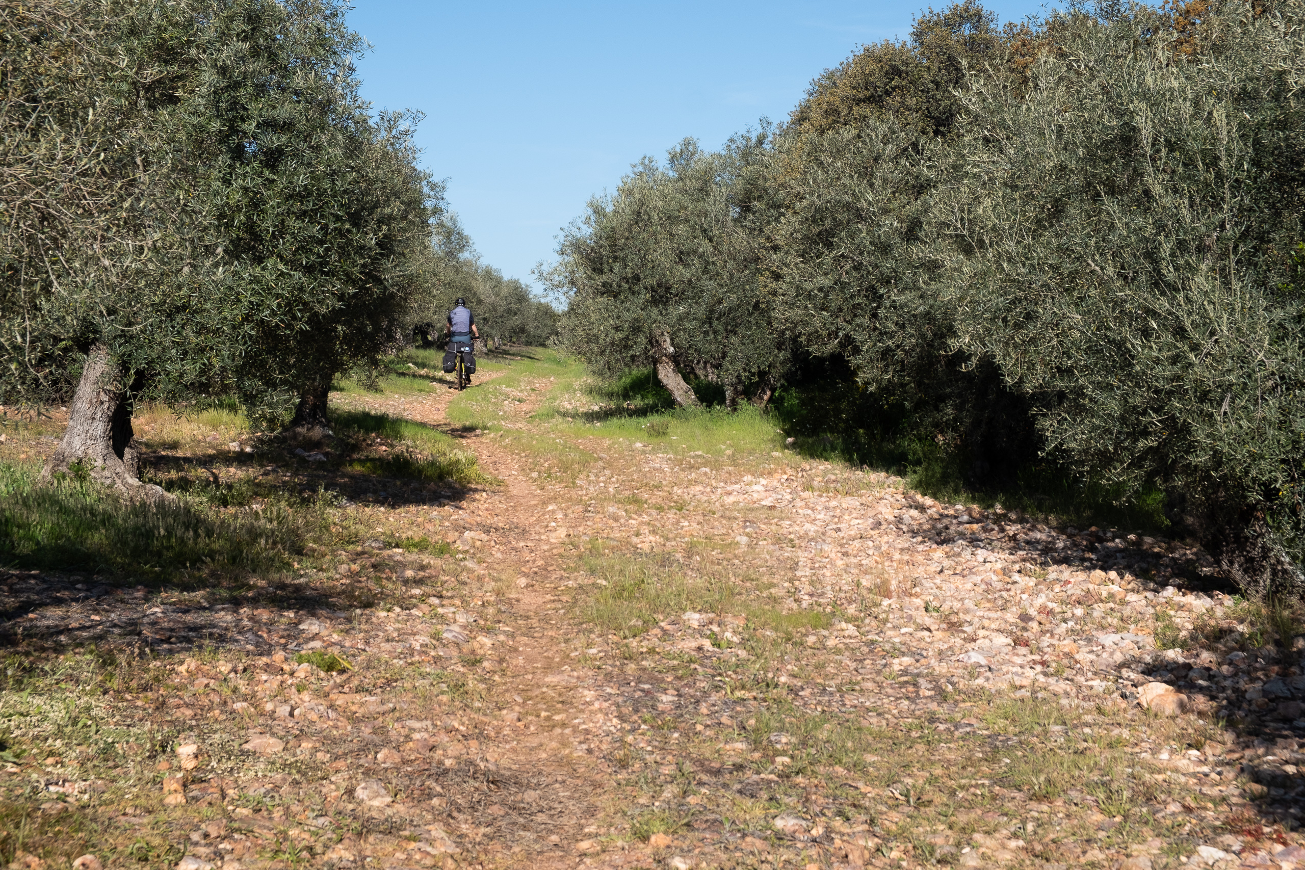 Steinige Olivenpfade – teilweise ist Schieben angesagt